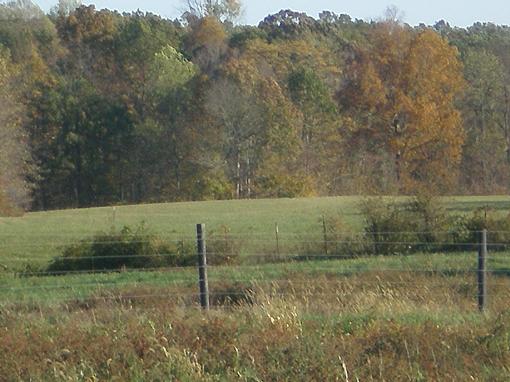 54.34 Acres