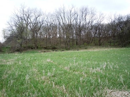 Pasture Area