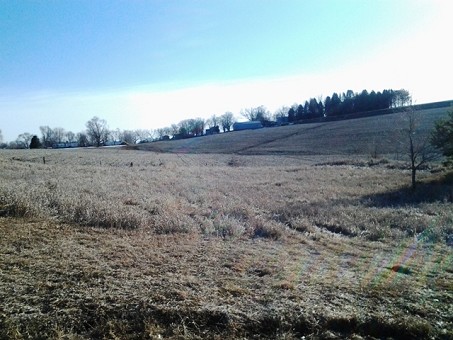 Lot 11