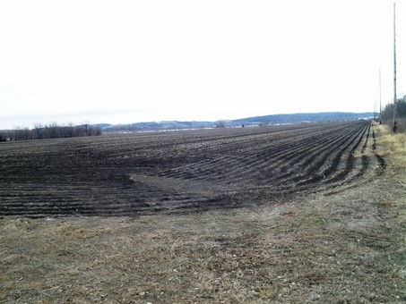 40 Acres