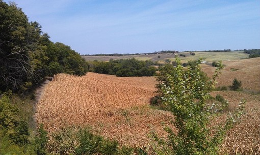 West Side Of Property Looking North