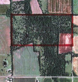 86.1 Acre Aerial