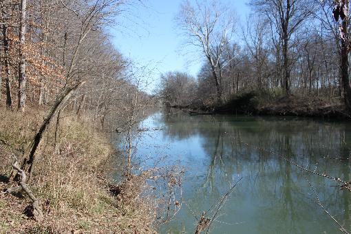 Drakes Creek View