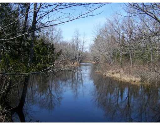 Alder Brook