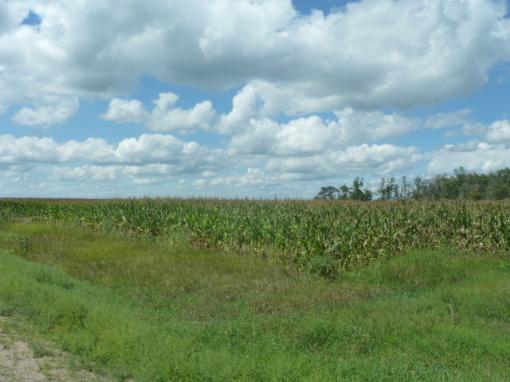 Ag Land