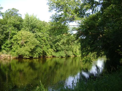Beautiful River View