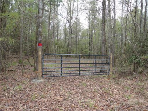 Front Gate