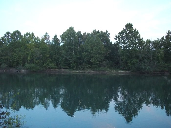 Looking Onto Water