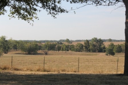 View From Back Of Home