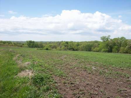 Acreage