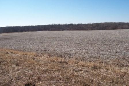 Acreage View