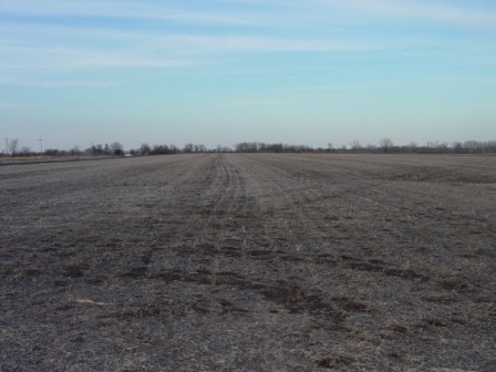 View Of Acreage