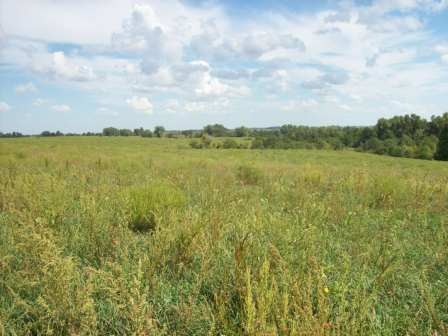 Acreage View