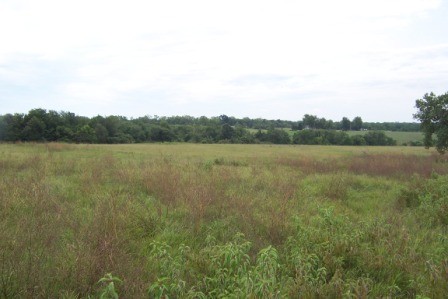 View Of Acreage
