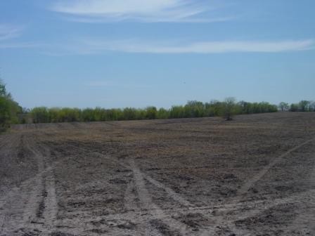 Field