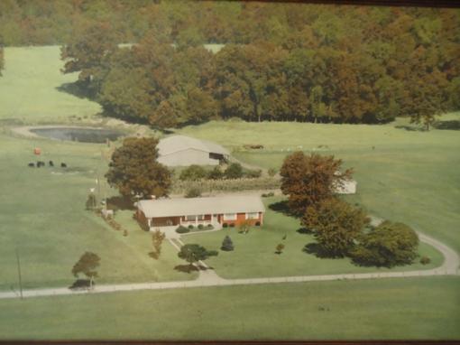 Home