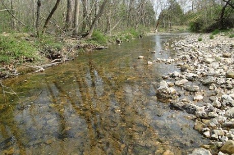 Creek Scene
