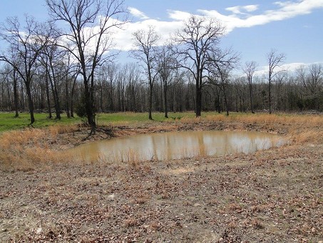 Pond On Property