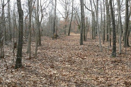 Land View
