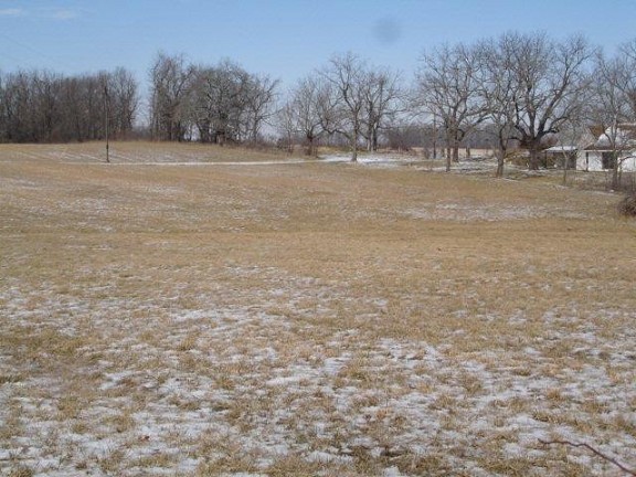 Land Scene