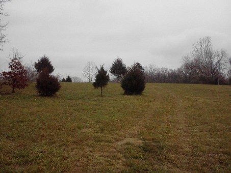 Land View