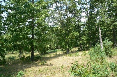 Land View