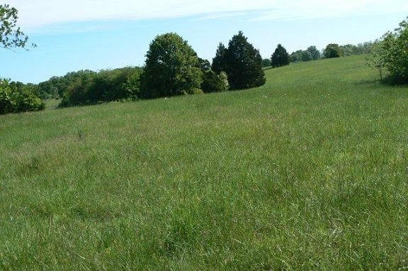 Land View