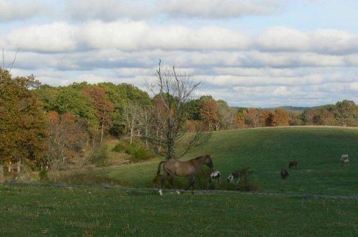 Land View