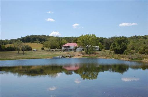 Main View