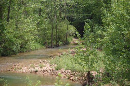 Creek