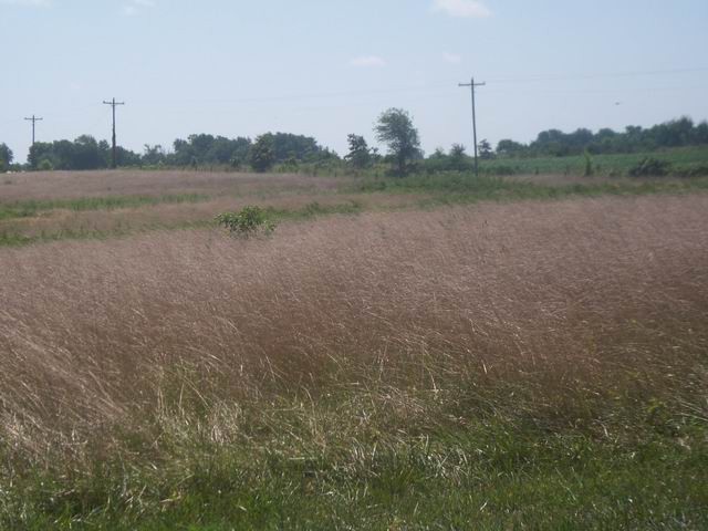 Land