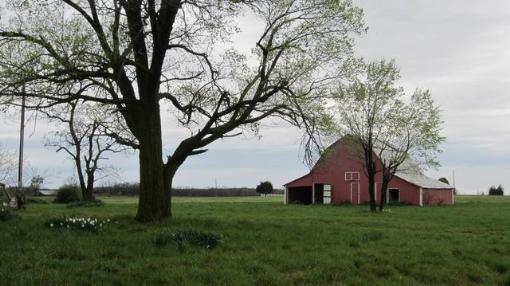 Older Barn