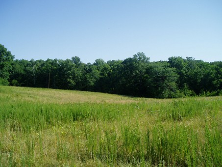 Prime Hunting Ground