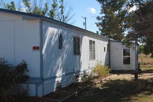 The Home
