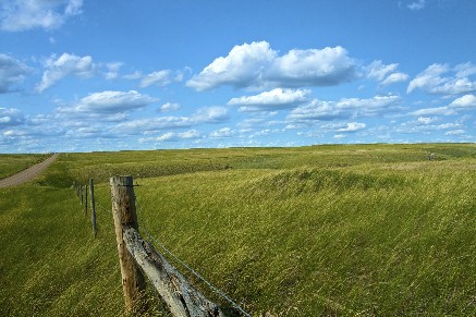 From The Road