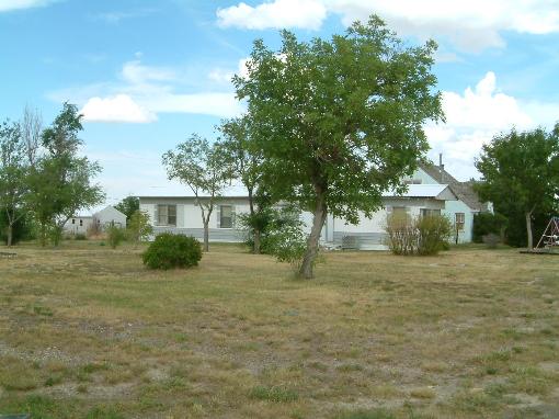 Exterior Front W/ Lots