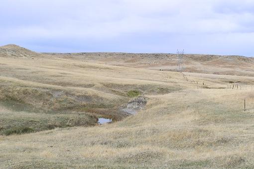 Field
