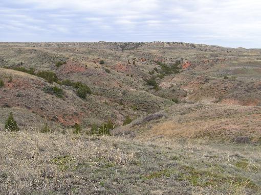 Land