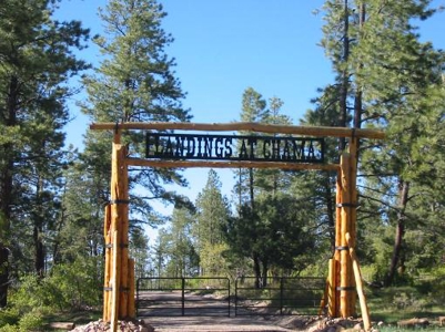 Mountain Land near Chama NM, Gated Access, Power and Shared Well - image 2