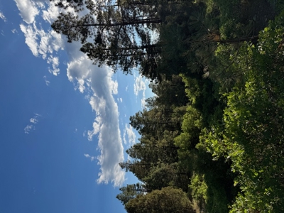 Mountain Land near Chama NM, Gated Access, Power and Shared Well - image 4