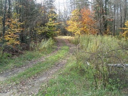 Trails Thru Property