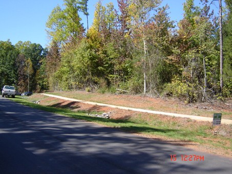 View Of Lot