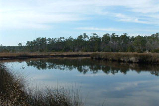 View Of Creek From Lot