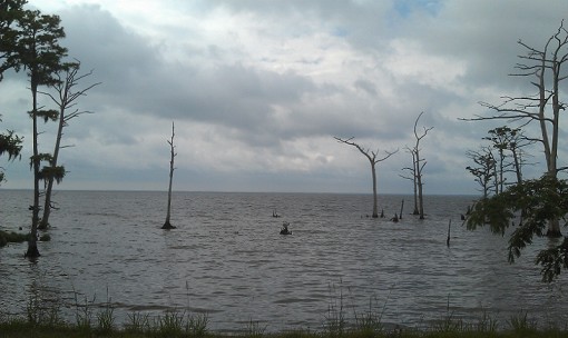 The View Of The Albemarle Sound