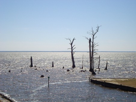 Albemarle Sound Views From 2nd Deck