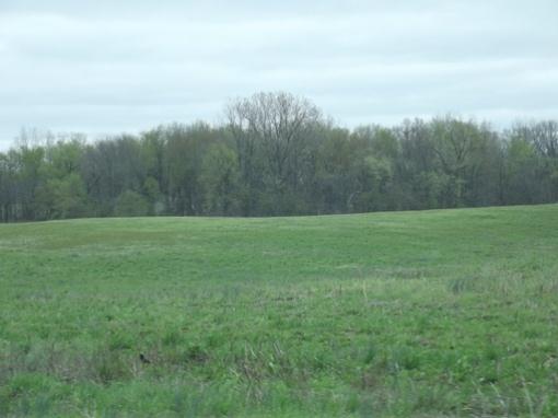 Cross Section Across Tract 1