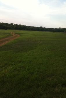 Pasture