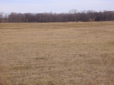 Pasture Land