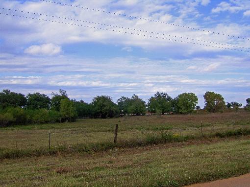 Pasture With Good Fences