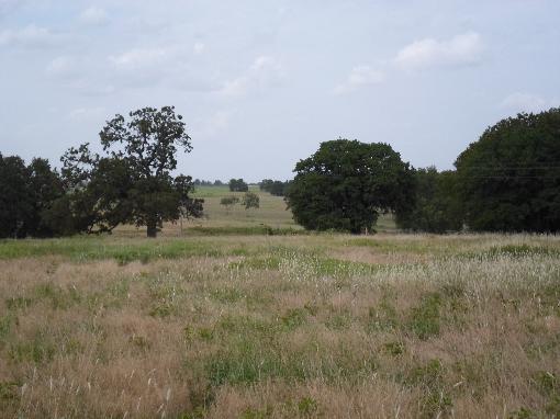 View Of Property